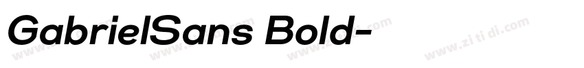 GabrielSans Bold字体转换 GabrielSans Bold字体转换